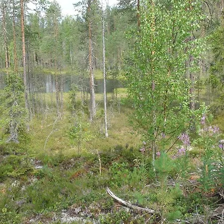 Chalé Kerimaa Golf Close To